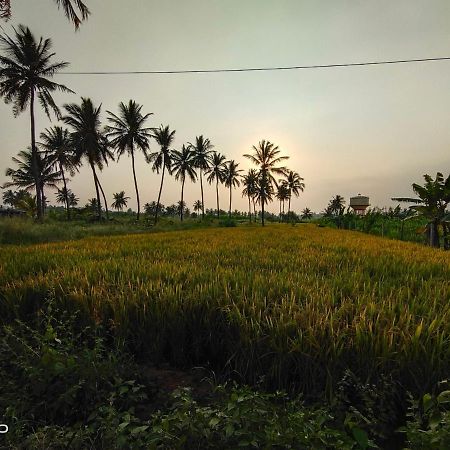 Srinivasa Homestay Hampi Buitenkant foto