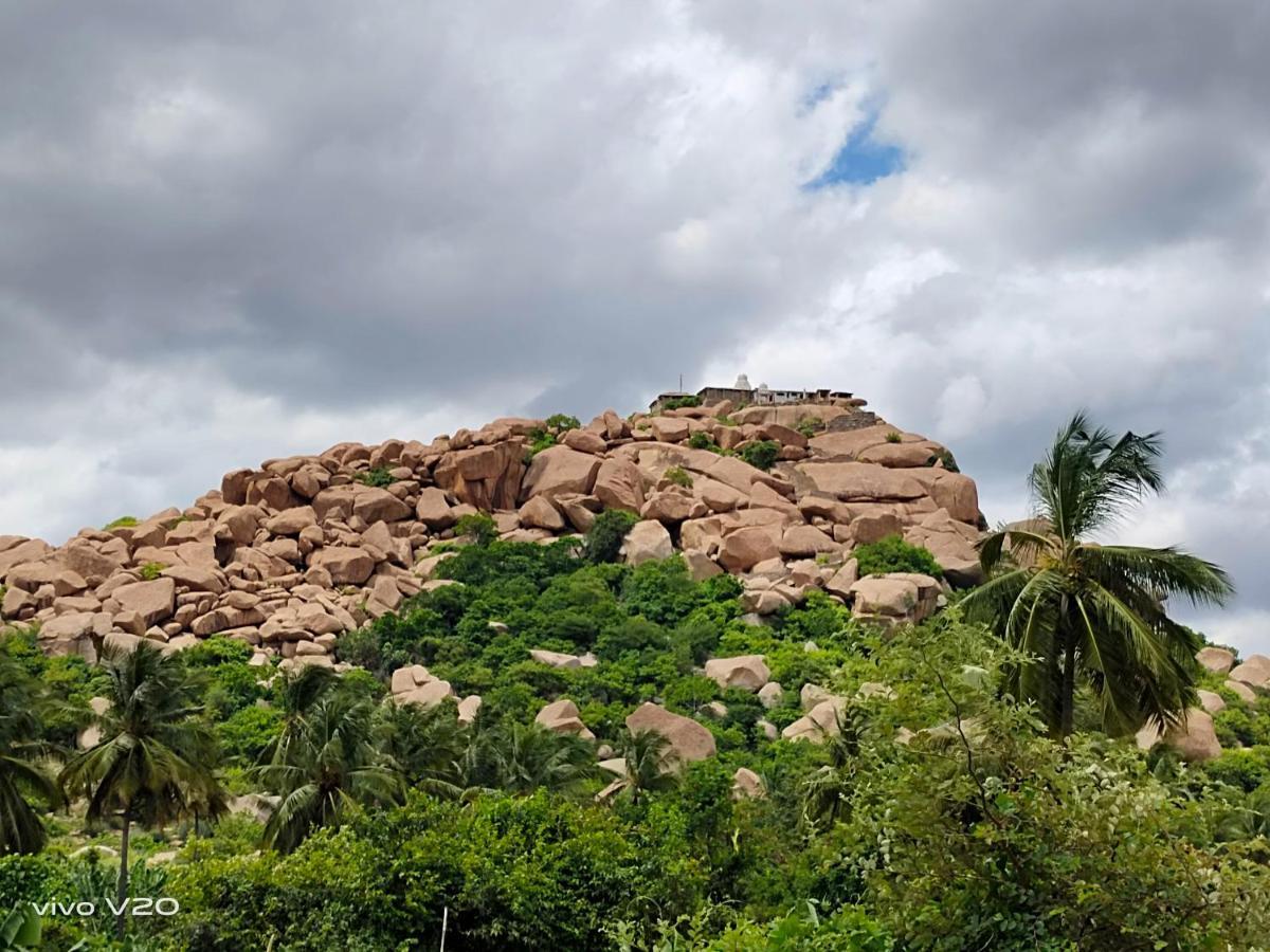 Srinivasa Homestay Hampi Buitenkant foto